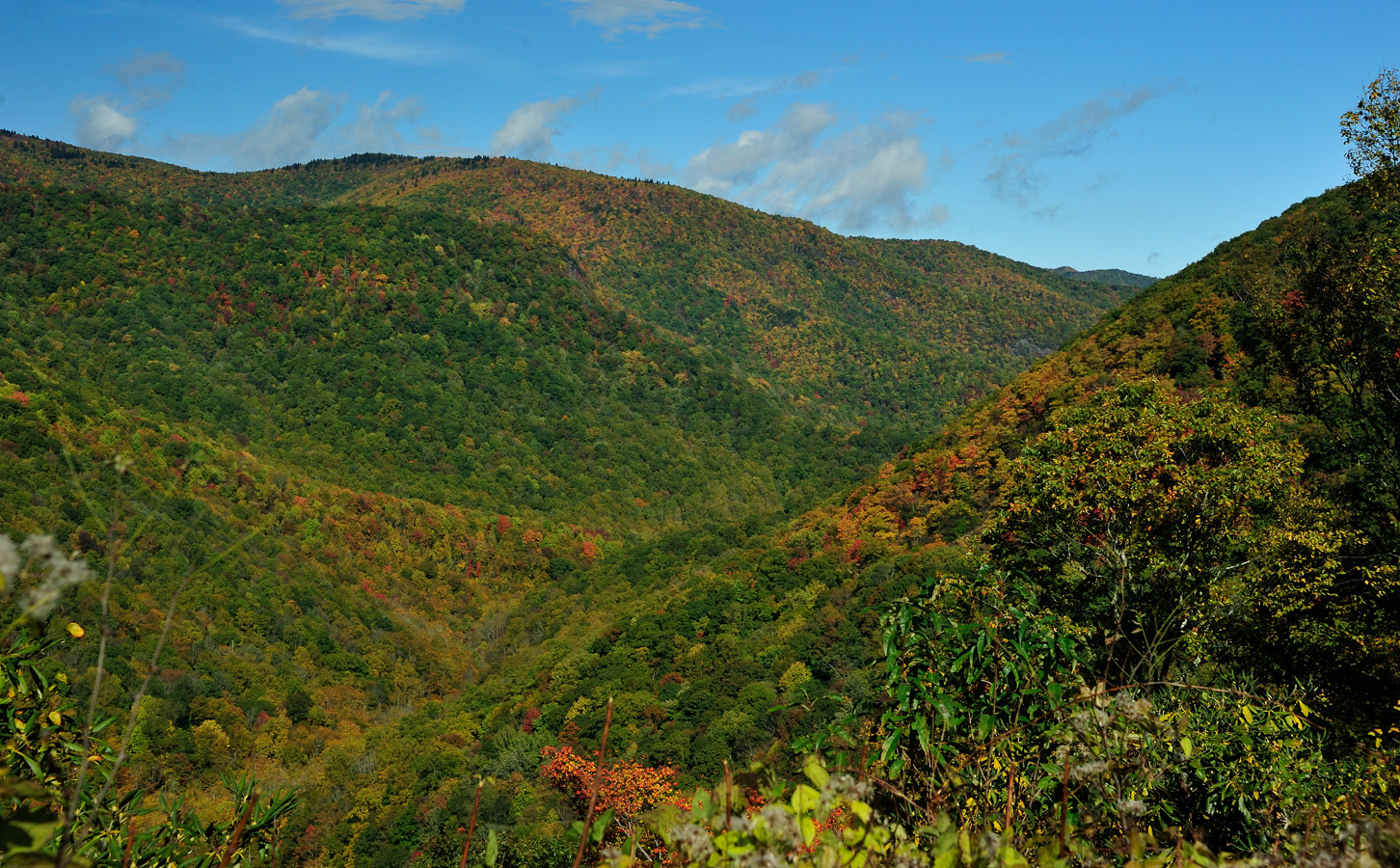 Blue Ridge Parkway [55 mm, 1/320 Sek. bei f / 10, ISO 400]